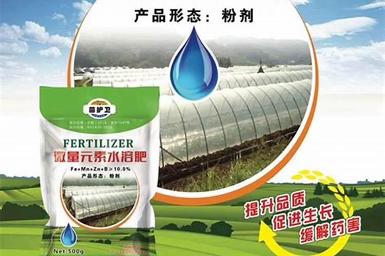 鱼粉是如何加工而成的