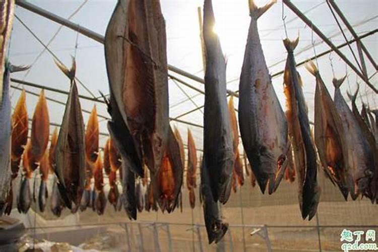 大白菜包心期能喷生根剂吗怎么喷