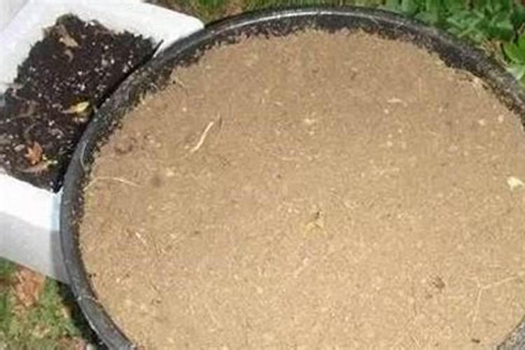 请问专家腐殖酸肥具体在苹果树上怎么用