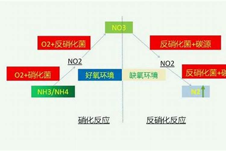 请教:井水氨氮高是什么原因？