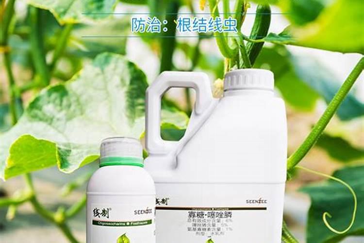 怎么给花补氮肥