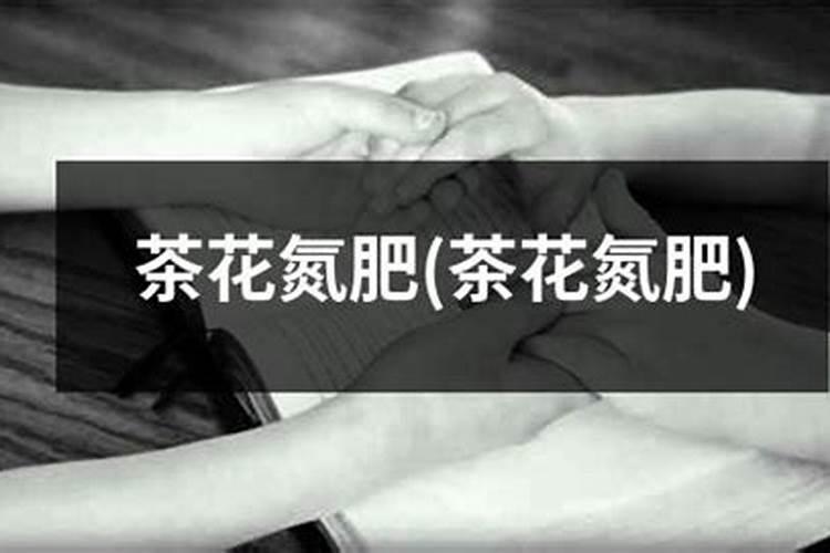 氮肥养花使用方法有什么？