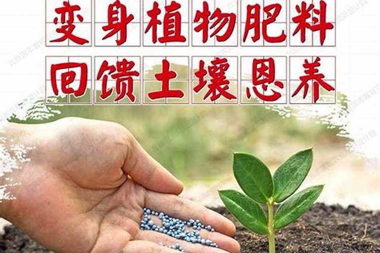 什么叫颗粒氮肥？