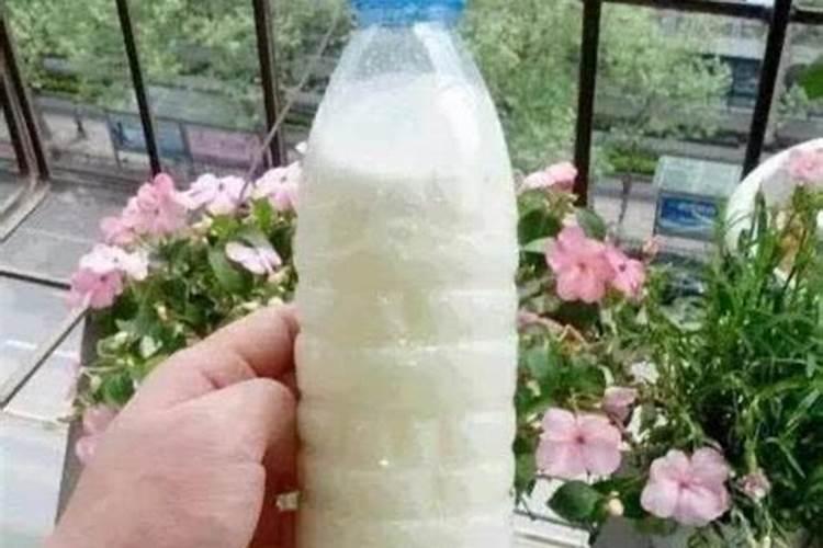 花叶蔓肥料怎么用