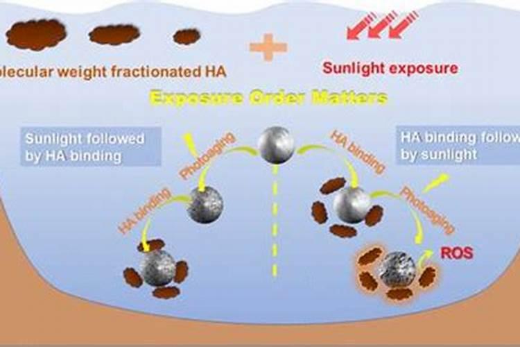 土壤消毒的最好方法