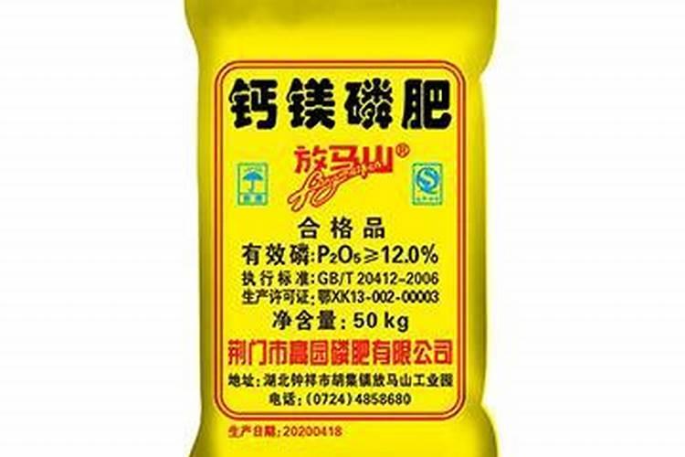 攀枝花黄磷肥厂在哪里