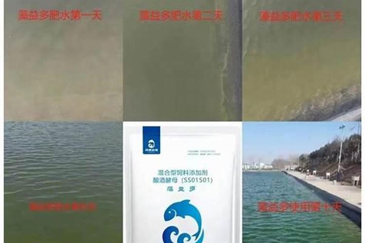 海藻精对植物的作用(肥料海藻精使农作物提早成熟提高产量)