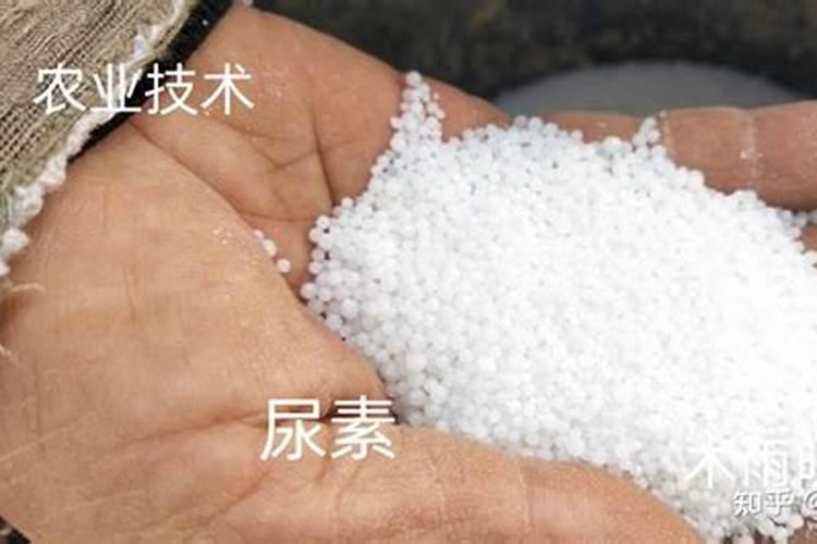 如何自制兰花磷肥让兰花开花时间更长？