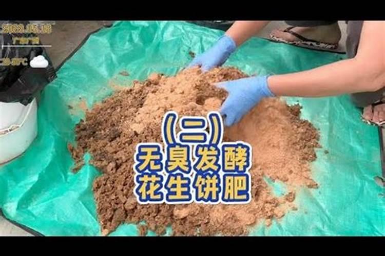 市面上的水溶肥都有哪些种类？都该怎样使用？