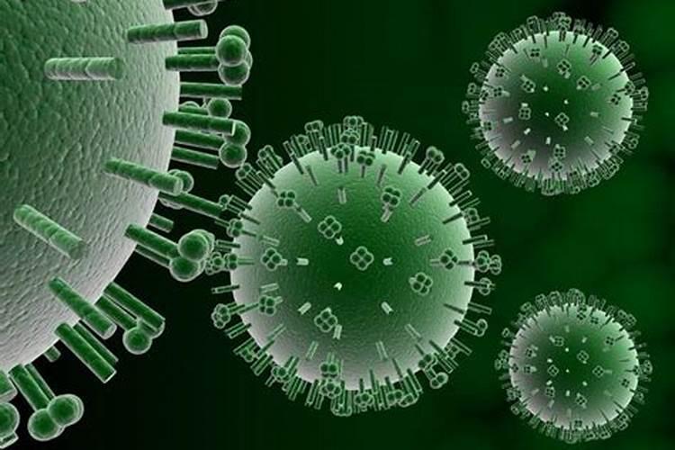 茶叶可以做花肥料吗