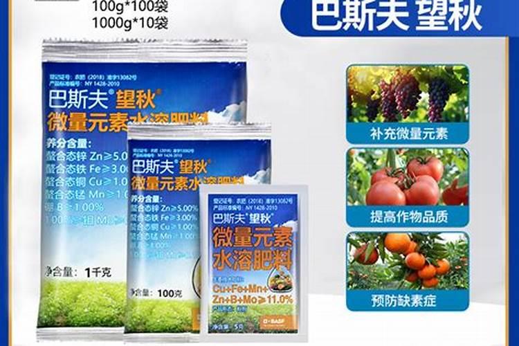 草莓结果的时候要施什么肥