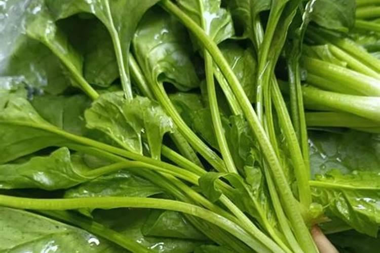 油菜最好三种肥料