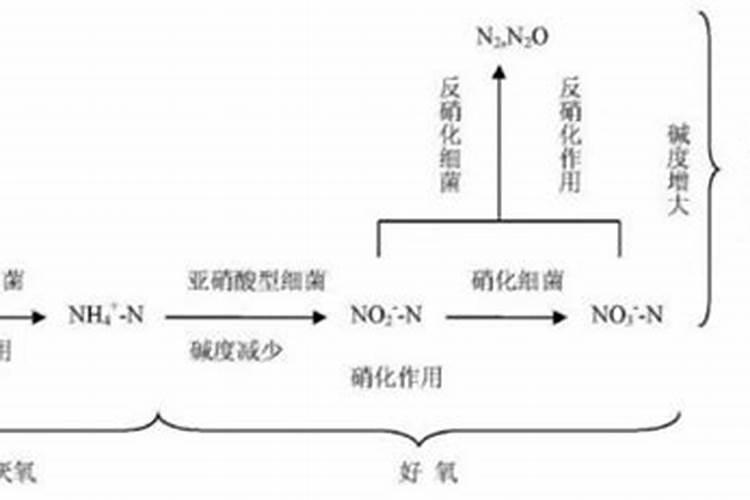 为什么水里会冒出一股尿素味