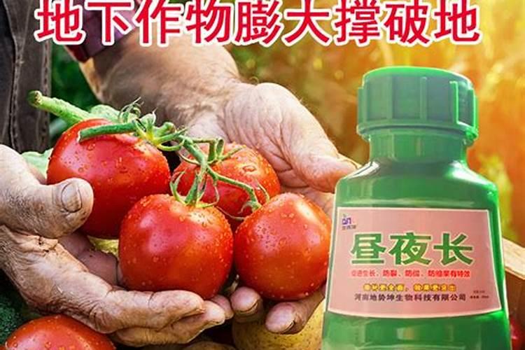 有机肥为什么不能提供能量