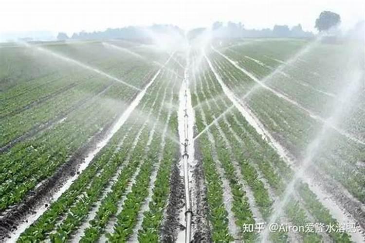 目前最好的磷酸二氢钾