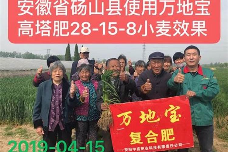 磷肥和二铵有什么不同