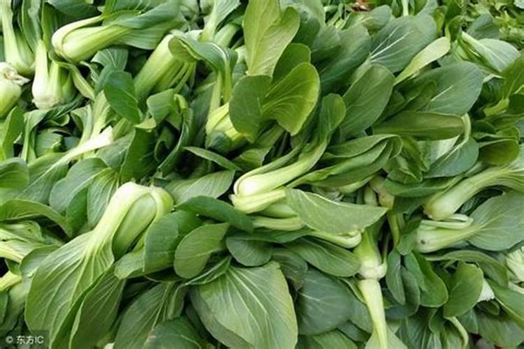 种植油菜为什么要施硼肥油菜啥时候施硼肥好