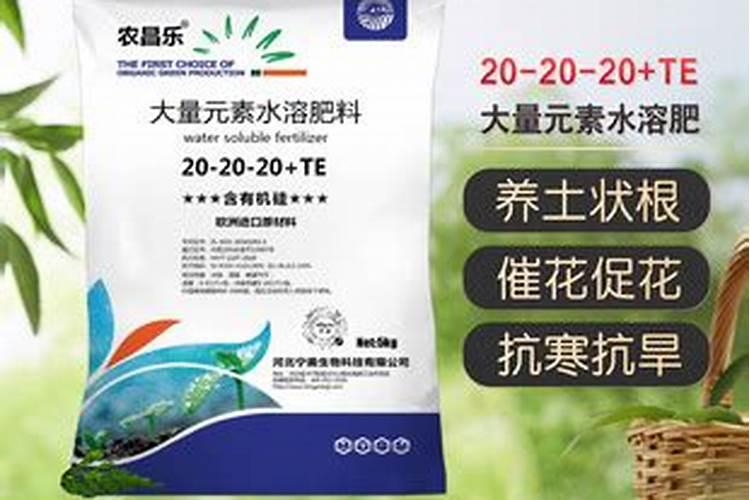 兰花草用什么肥料