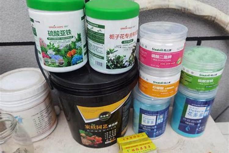 蔷薇只长叶子不开花原因及处理方法