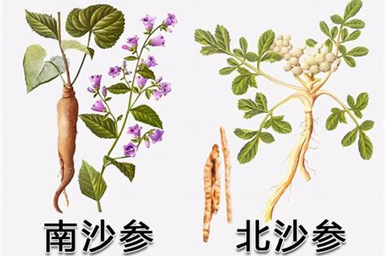黄芪怎么除草,要用什么除草剂？黄芪在什么温度下除草最安全？