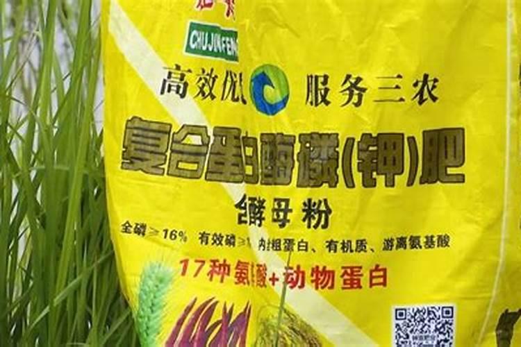西瓜膨果用什么肥料好？