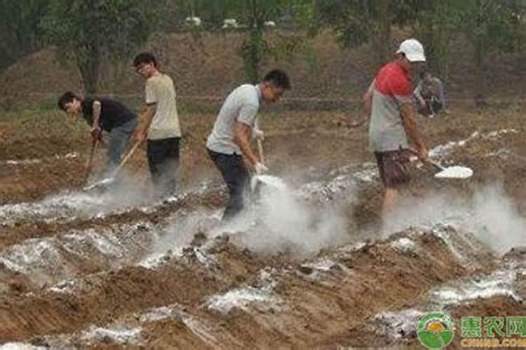 什么植物不能用磷酸二氢钾？