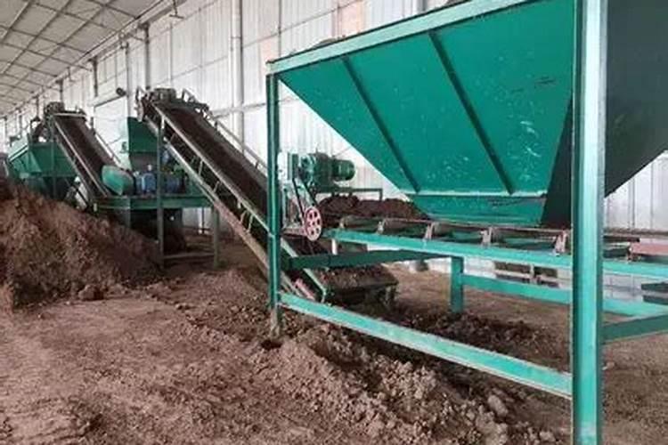 生石花用什么土种最好？