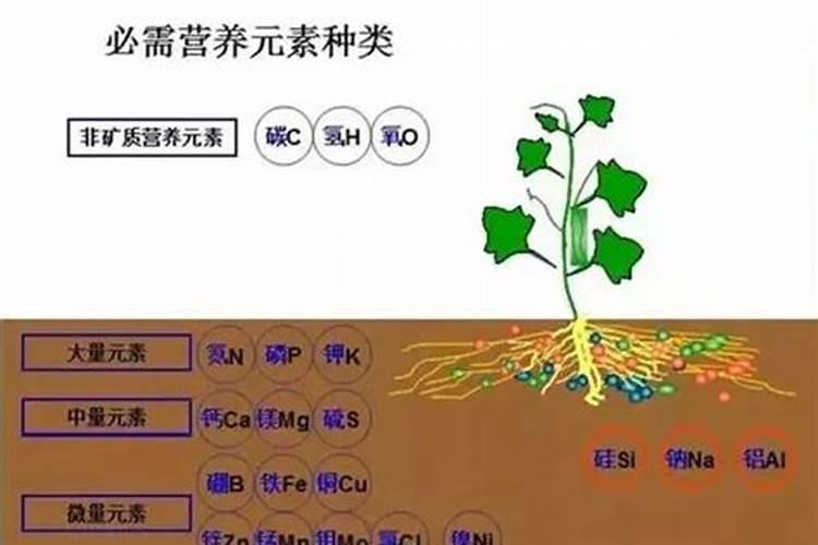 磷肥在土壤中保持多久肥效