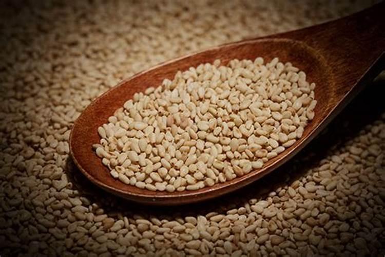 种花的营养土怎么调配