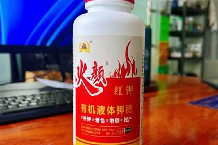 仙客来的栽培管理怎样做？