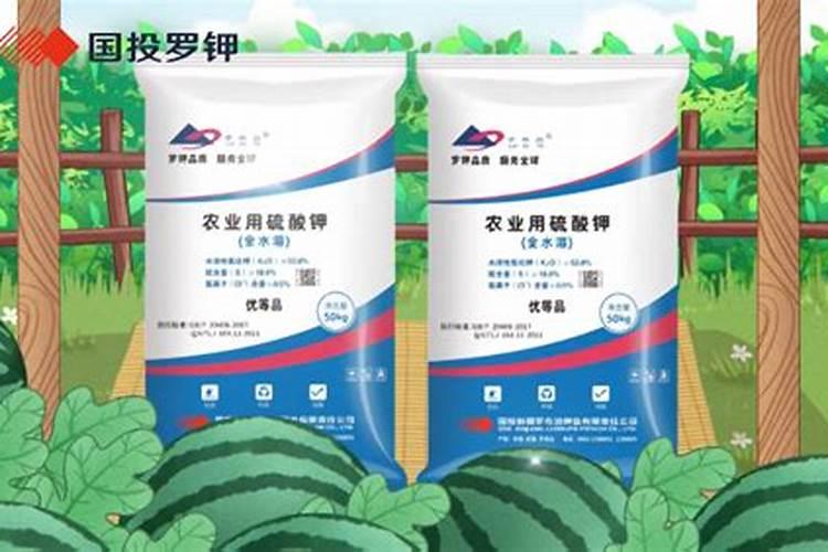 莴笋可不可以喷芸苔素？