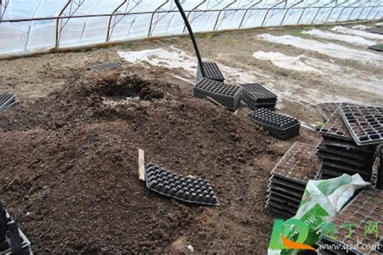 芸苔素内酯的分类和作用