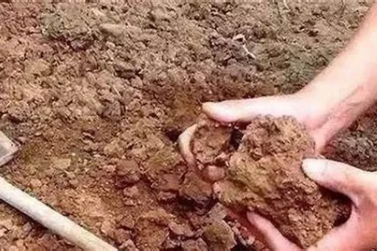 怎样调节土壤P浓度