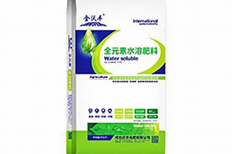 如何让三角梅快速生根