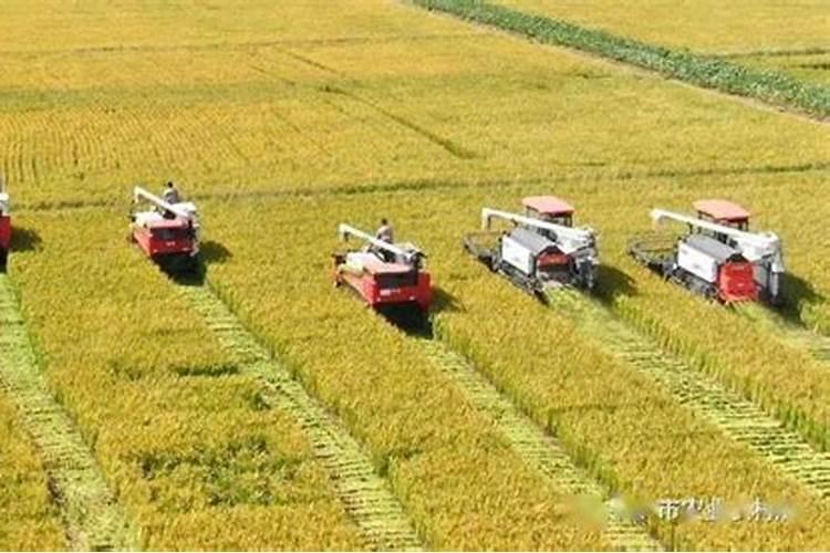 水中矿物质原来对人体那么重要!!