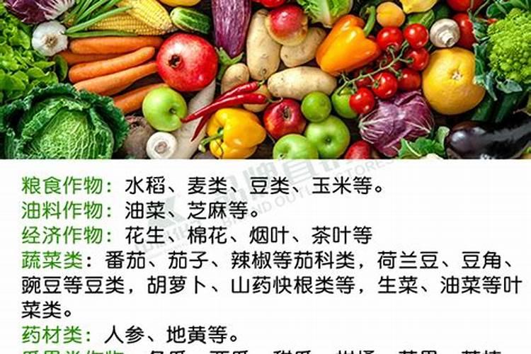 请仔细阅读以下材料:①2008年3月26日,新疆吐鲁番市公安局组织集中销毁...