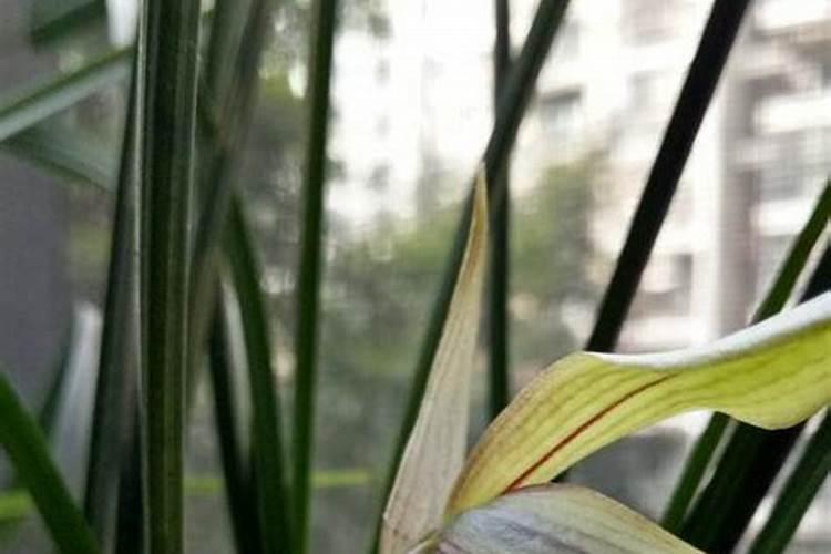 定陶仿山门票,菏泽仿山周边旅游景点