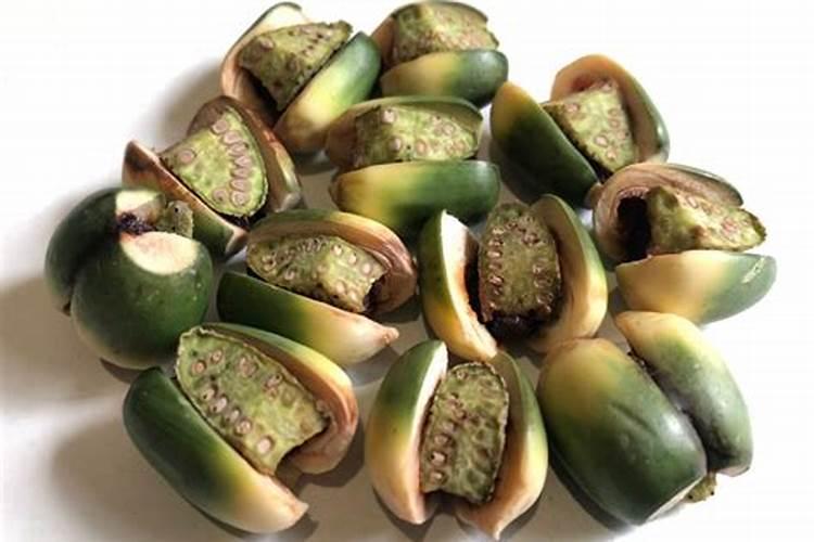 槟榔施肥多久才被吸收