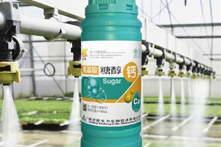沃生钙和糖醇钙哪种好