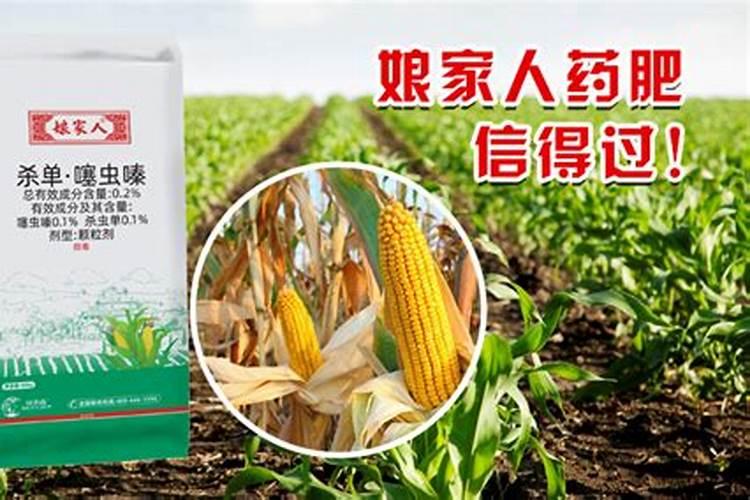 玉米底肥一次性施肥 氮磷钾 各用多少？