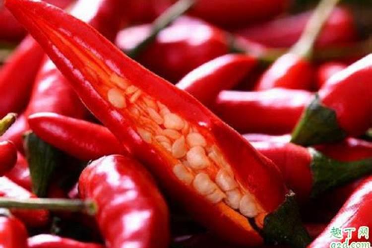 微生物菌肥和菌剂有什么区别(菌肥的作用是什么)