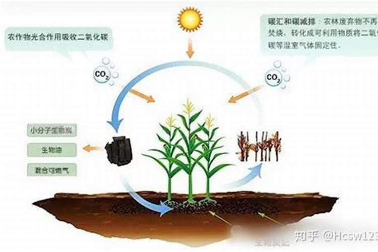 氨基酸肥料对果树是何作用,该怎样正确使用？