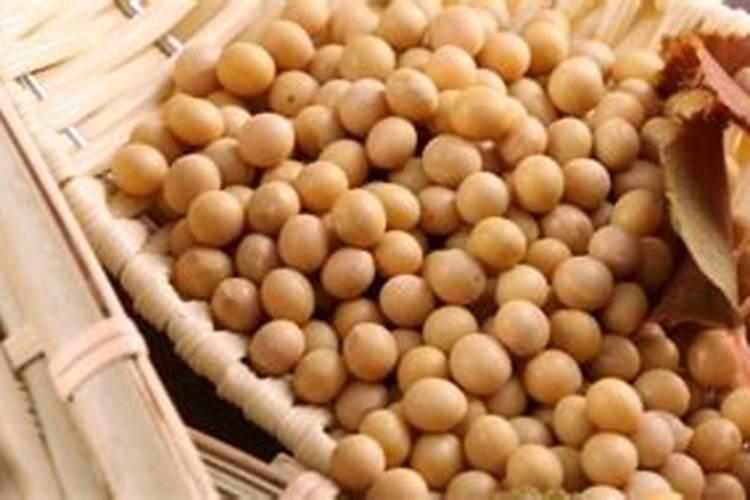 换盆后多久浇水 盆土换新后该何时浇水？