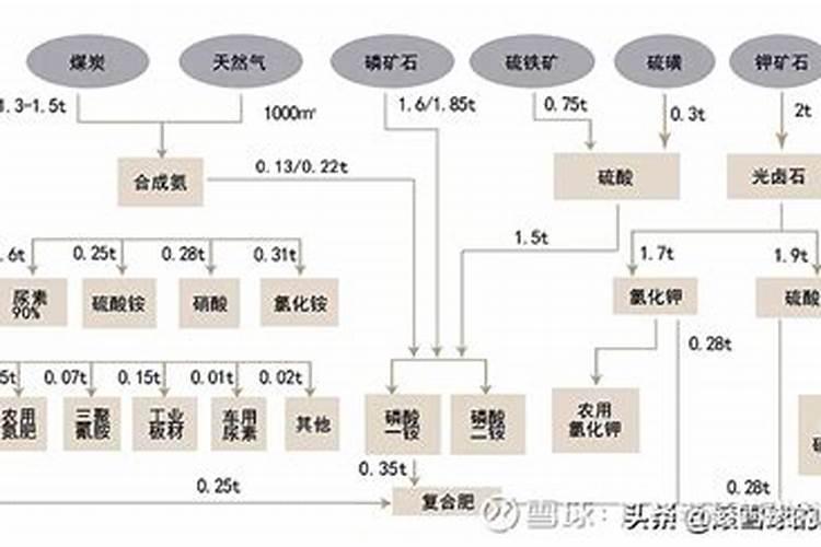 养花窍门99招,叶片发黄是缺什么肥料