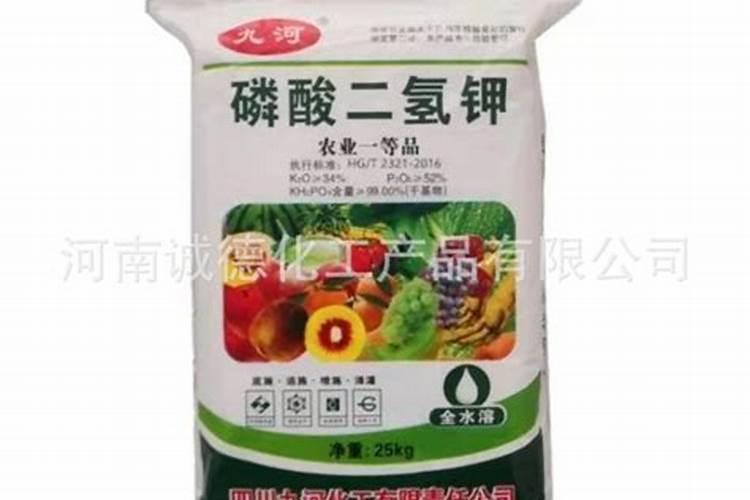 多肉施肥用什么肥料长得壮