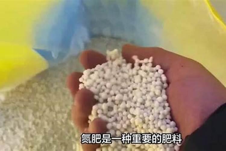 氮肥的施用有哪些具体内容？