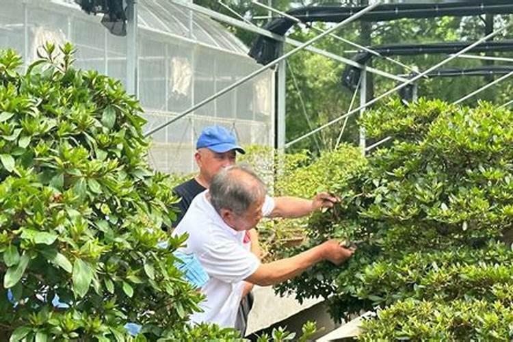 长沙马王堆农产品股份有限公司怎么样？