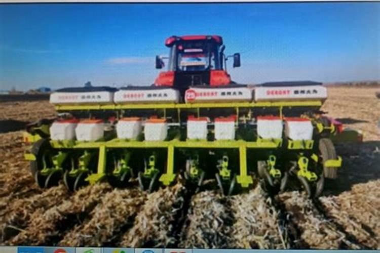 玉米打什么叶面肥最好