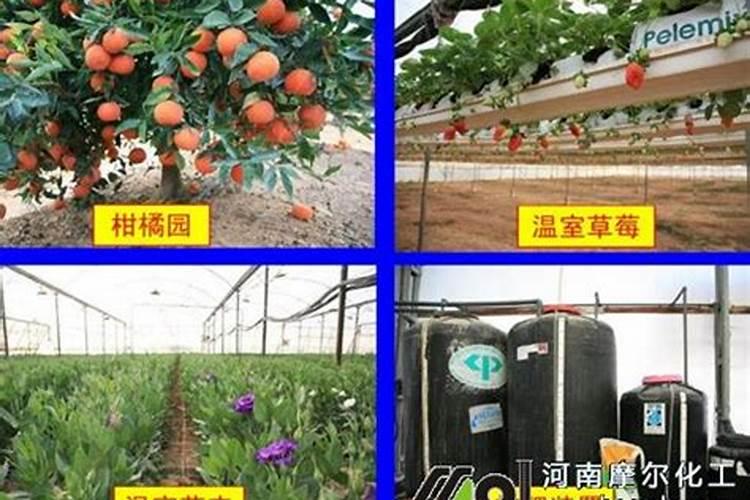 香瓜增甜剂是什么