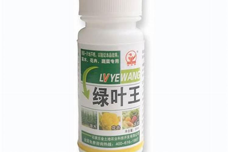 水养的花叶子发黄是什么原因